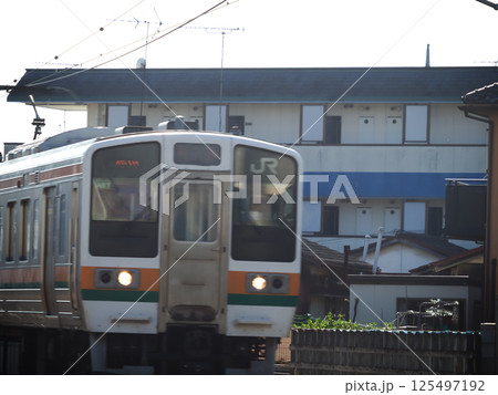 菜の花畑のある風景 125497192
