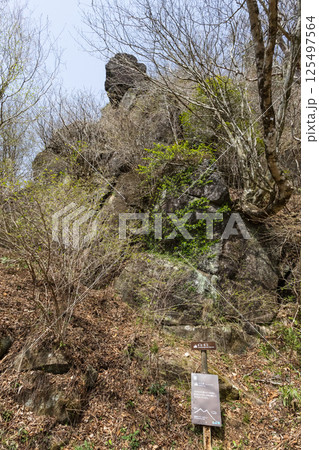 大仏岩(筑波山) 大仏岩(筑波山) 125497564