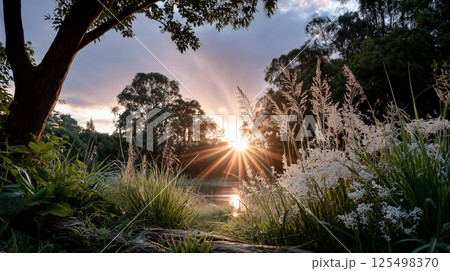 View of sunrise in the morning in nature 125498370