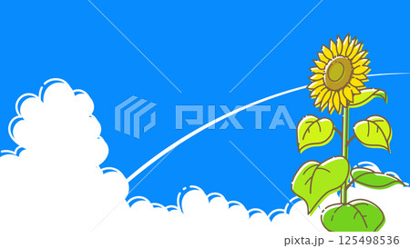 明るい青空とひまわりの背景素材 明るい青空とひまわりの背景素材 125498536