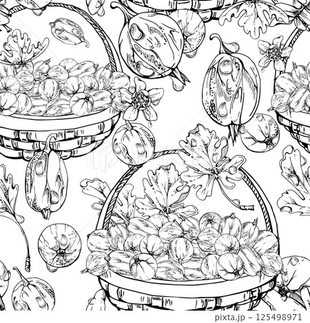 Gooseberry Currant in weaved basket with leaves, hand drawn in vector ink, scattered ripe picked berry harvest. Isolated seamless pattern. Dessert cafe menu, cookbook, craft farmers market, gardening Gooseberry Currant in weaved basket with leaves, hand drawn in vector ink, scattered ripe picked berry harvest. Isolated seamless pattern. Dessert cafe menu, cookbook, craft farmers market, gardening 125498971