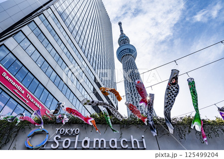 スカイツリーのある風景 125499204