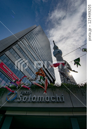 青空に映える凧 125499205