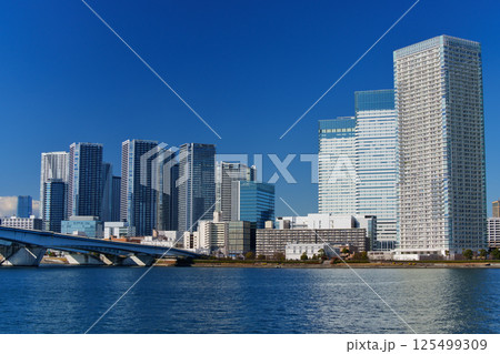 東京ベイエリア　晴海埠頭の風景 125499309