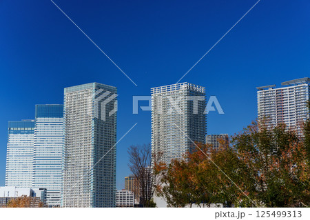 東京ベイエリア 晴海埠頭の風景 東京ベイエリア 晴海埠頭の風景 125499313