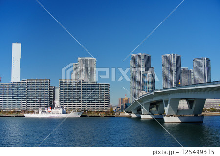 東京ベイエリア　晴海埠頭の風景 125499315