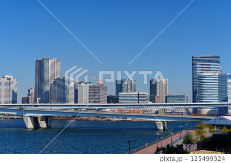 東京ベイエリア 晴海運河と豊洲の街並み 東京ベイエリア 晴海運河と豊洲の街並み 125499324