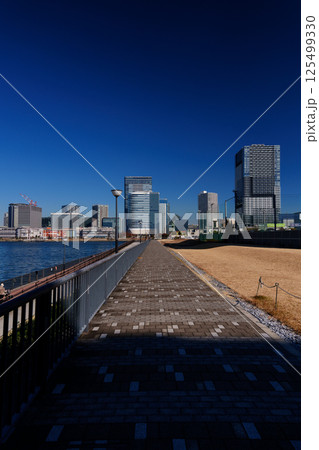 東京ベイエリア　晴海運河と豊洲の街並み 125499330
