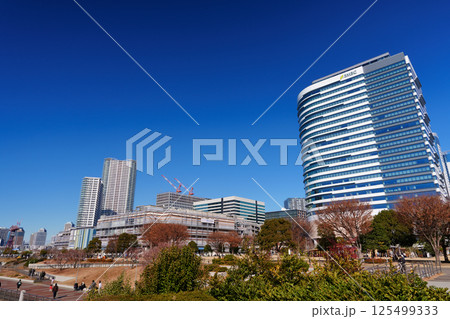 東京ベイエリア　晴海運河と豊洲の街並み 125499333