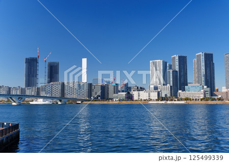 東京ベイエリア 晴海埠頭の風景 東京ベイエリア 晴海埠頭の風景 125499339