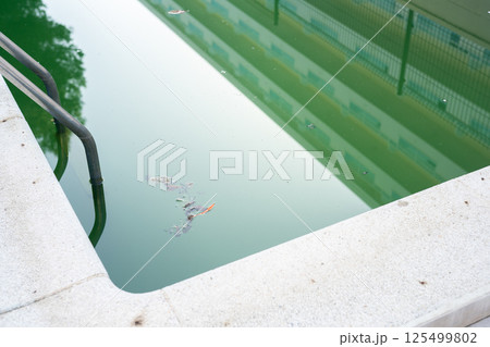 Swimming pool with dirty green water close-up. 125499802