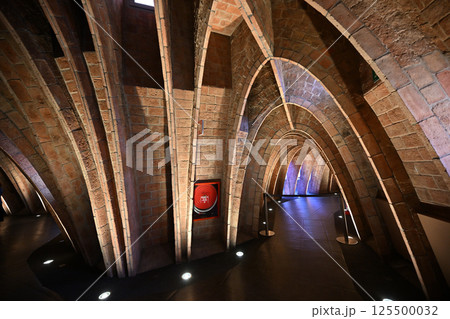 スペイン 世界遺産 カサ・バトリョ スペイン 世界遺産 カサ・バトリョ 125500032