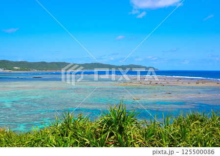 奄美大島 125500086