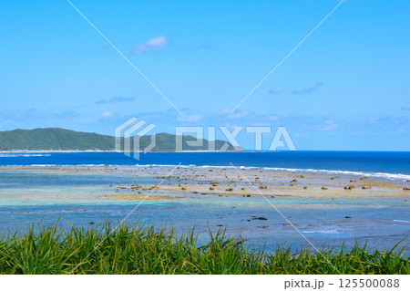 奄美大島 奄美大島 125500088