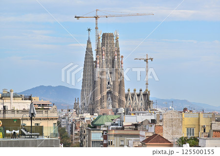 サグラダ・ファミリア大聖堂 125500155