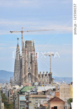 サグラダ・ファミリア大聖堂 サグラダ・ファミリア大聖堂 125500157