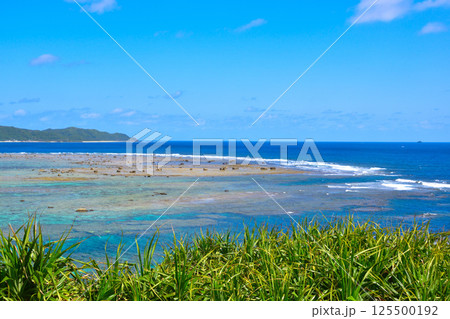 奄美大島 125500192