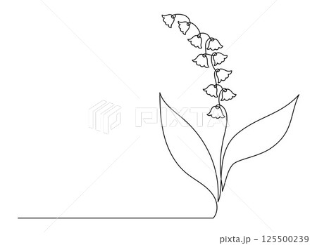 May Lily of the Valley in One Continuous Line Drawing. Simple Minimalist Linear Spring Flower forest May bells. Vector Illustration For design. Hand Drawn Monoline. Editable stroke 125500239