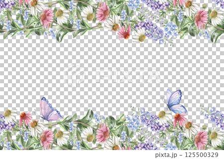Rectangular frame with echinacea flowers. Isolated watercolor illustration of bouquets for design of packaging of cosmetic products, candies, printing on clothes. Rectangular frame with echinacea flowers. Isolated watercolor illustration of bouquets for design of packaging of cosmetic products, candies, printing on clothes. 125500329