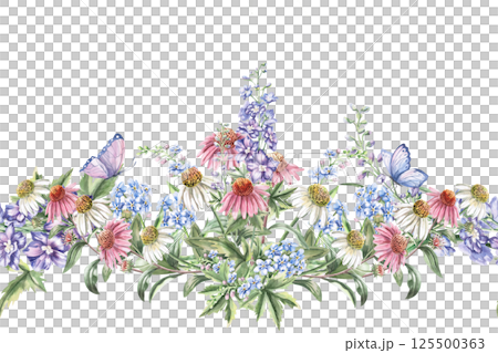 Seamless border with echinacea bouquet and dragonfly. Isolated watercolor illustration of bouquets for design of packaging of cosmetic products, candies, printing on clothes Seamless border with echinacea bouquet and dragonfly. Isolated watercolor illustration of bouquets for design of packaging of cosmetic products, candies, printing on clothes 125500363