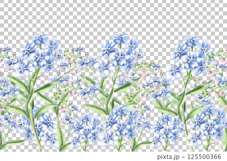Seamless border with forget-me-not flowers. Isolated watercolor illustration of bouquets for design of packaging of cosmetic products, candies, printing on clothes 125500366