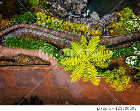 Drone view of Ribeira dos Caldeiroes Natural Park in Azores Drone view of Ribeira dos Caldeiroes Natural Park in Azores 125500608