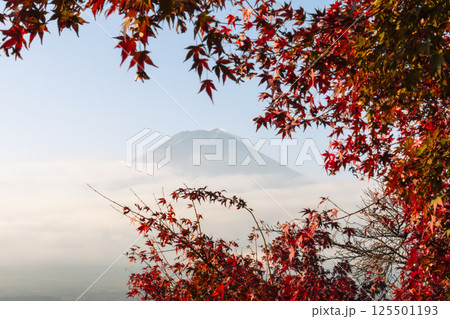 Fuji Mountain with no snow 125501193