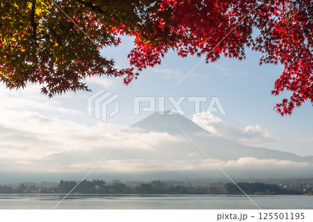 Fuji Mountain with cloud and maple leaves 125501195