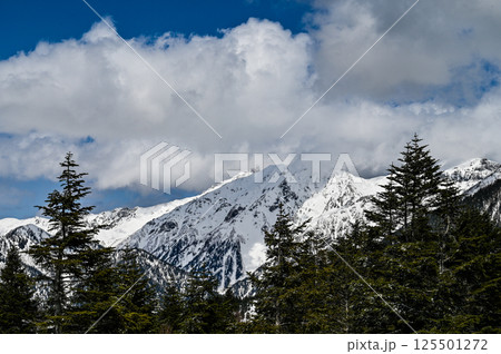 岐阜県飛騨高山の穂高 岐阜県飛騨高山の穂高 125501272