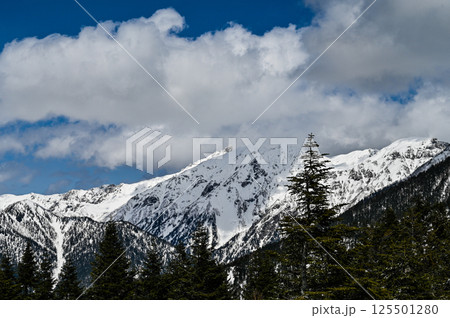 岐阜県飛騨高山の穂高 125501280