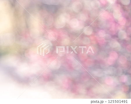 背景素材　水玉模様のリフレクション　お花畑の様なカラフルな明るい春のイメージ 125501491
