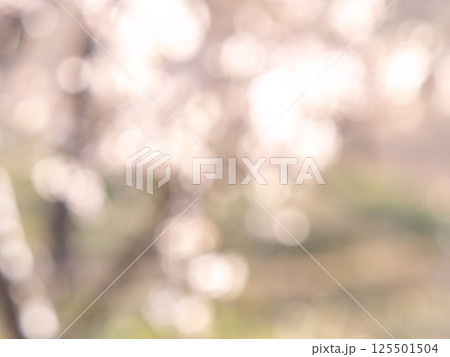 背景素材　水玉模様のリフレクション　お花畑の様なカラフルな明るい春のイメージ 125501504