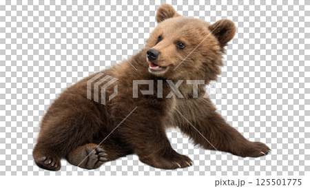 brown bear in a row 125501775