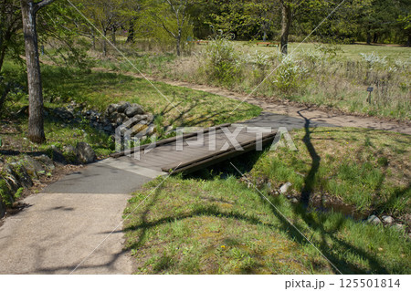 公園の小川にかかる小さな橋 125501814