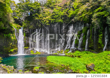 静岡県富士宮市の白糸の滝 125501884