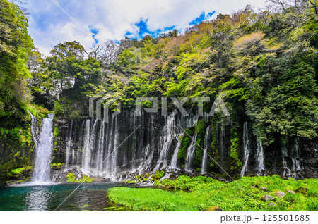 静岡県富士宮市の白糸の滝 静岡県富士宮市の白糸の滝 125501885