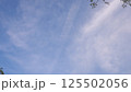 晴れた日の空の写真 125502056