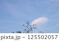晴れた日の空の写真 125502057