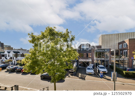 A vibrant urban street scene showcasing well-maintained greenery alongside parked vehicles, blending nature with the city vibe. 125502970