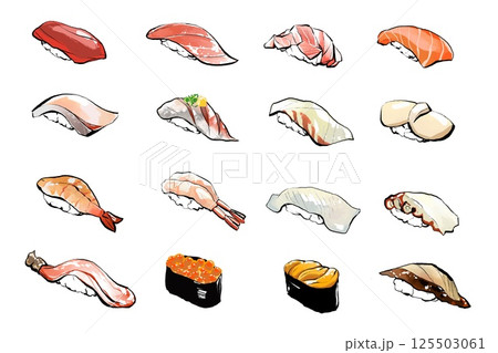 寿司リアルイラストセット 125503061