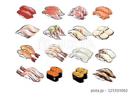 寿司リアルイラストセット、二貫 寿司リアルイラストセット、二貫 125503062