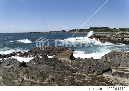 磯の風景 125503312