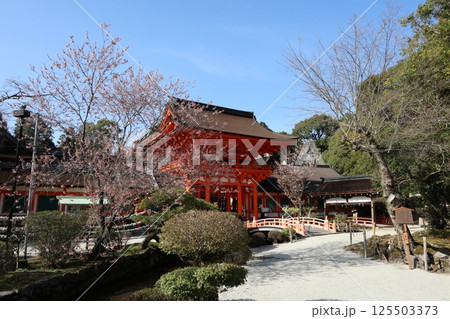 京都の世界遺産、上賀茂神社 125503373