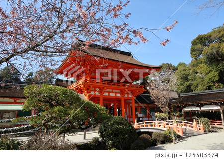 京都の世界遺産、上賀茂神社 125503374