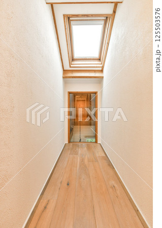 A modern interior hallway showcasing a sleek design, featuring a skylight that illuminates the space and wooden flooring that adds warmth. 125503576