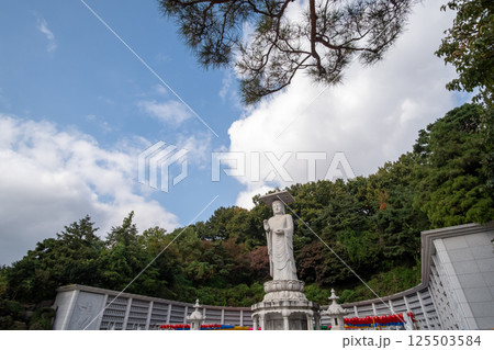 Mireuk Daebul statue of the bodhisattva Maitreya at Bongeunsa Temple, a Buddhist temple in Seoul. With background of autumn leaves. Mireuk Daebul statue of the bodhisattva Maitreya at Bongeunsa Temple, a Buddhist temple in Seoul. With background of autumn leaves. 125503584