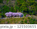 日本の風景、田舎の道 125503655