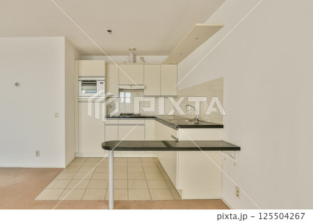 A sleek and modern kitchen featuring minimalist design elements, equipped with essential appliances and tidy layout, exuding contemporary style. 125504267