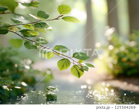 光と緑に包まれる森のひととき 125504269