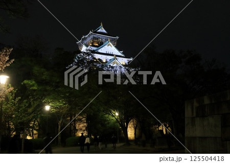 ライトアップされた大坂城 大坂城の夜景 ライトアップされた大坂城 大坂城の夜景 125504418